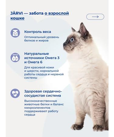 Jarvi elaman Dry food for adult cats and cats chicken 400 g - Buy Online on GoSupps.com