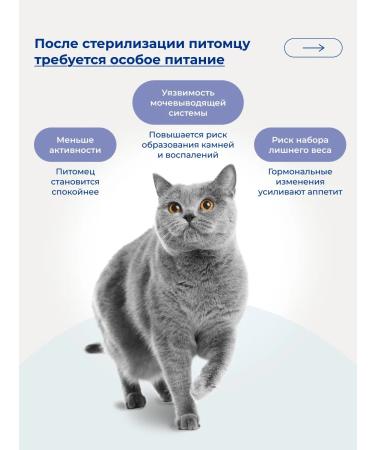 Jarvi elaman Dry food for sterilized cats turkey 1.5 kg - Buy Online on GoSupps.com