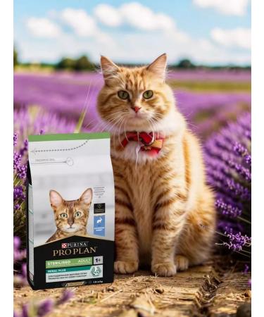 PRO PLAN Sterilated Renal plus cat food kidney health 1.5 kg rabbit - Buy Online on GoSupps.com