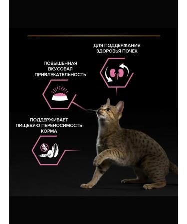 PRO PLAN Delicate Digest cat food feeling. digester. lamb 1.5 kg - Buy Online on GoSupps.com