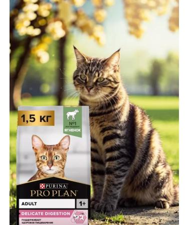 PRO PLAN Delicate Digest cat food feeling. digester. lamb 1.5 kg - Buy Online on GoSupps.com