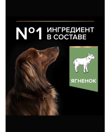 PRO PLAN Mini Adult Sensitive Digestic Dogs lamb 3kg - Buy Online on GoSupps.com