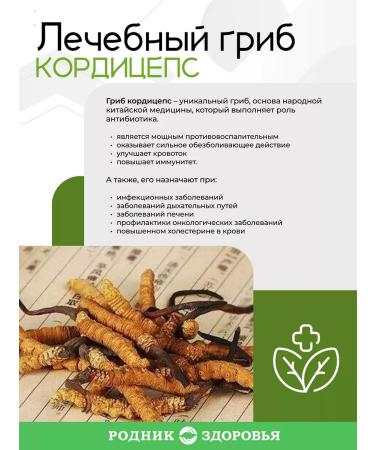 Spring of Health Symbiotic cordyceps for immunity immunomodulator - Buy Online on GoSupps.com