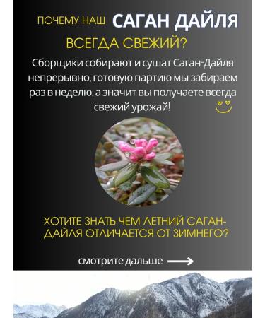 Melissa Goji Sagan Dylya tea Green Green 80 g - Buy Online on GoSupps.com