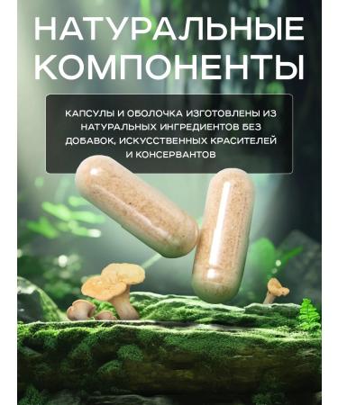 Kursakov Oleg Ezhovik crested mycelium 200 capsules of 800 mg - Buy Online on GoSupps.com