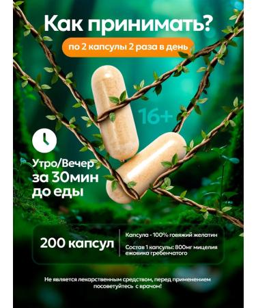 Kursakov Oleg Ezhovik crested mycelium 200 capsules of 800 mg - Buy Online on GoSupps.com