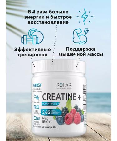 SOLAB Set of sports nutrition - Buy Online on GoSupps.com