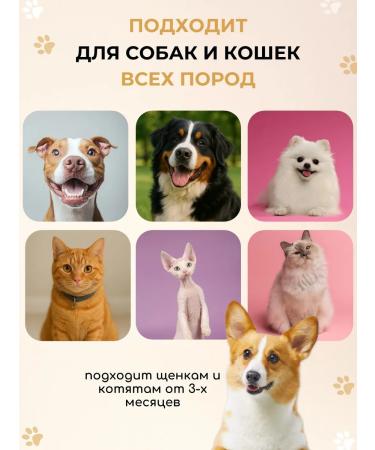 JERMINAL PETS CARE Dog shampoo puppy hypoallergenic eco 5 liters - Buy Online on GoSupps.com