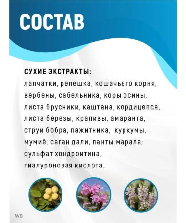 Healthy Family Siberia Vitamin complex for joints and ligaments chondroprotector - Buy Online on GoSupps.com