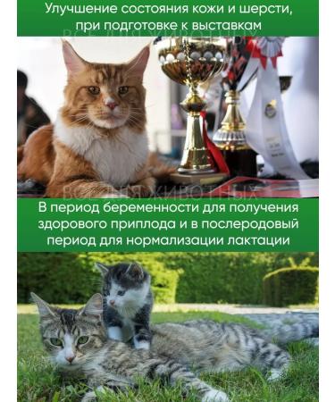 Lactobifadol Forte Probiotic for cats from constipation and diarrhea - Buy Online on GoSupps.com