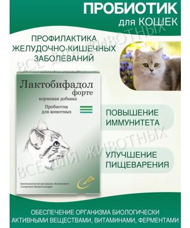 Lactobifadol Forte Probiotic for cats from constipation and diarrhea - Buy Online on GoSupps.com