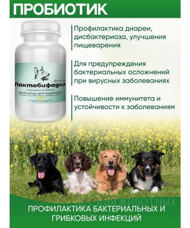 Lactobifadol Forte Probiotic for dogs lactobacilli for the prevention of gastrointestinal tract - Buy Online on GoSupps.com