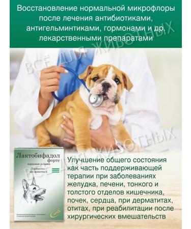Lactobifadol Forte Probiotic for dogs lactobacilli for the prevention of gastrointestinal tract - Buy Online on GoSupps.com
