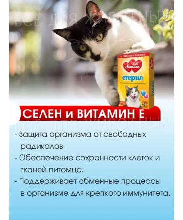 Multi Lakomki Vitamins for cats of sterilized and castrated cats - Buy Online on GoSupps.com