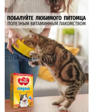 Multi Lakomki Vitamins for cats of sterilized and castrated cats - Buy Online on GoSupps.com