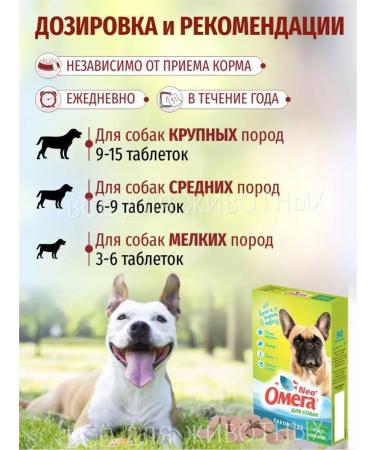 Omega Neo Vitamins for dogs from an unpleasant smell from the gastrointestinal tract - Buy Online on GoSupps.com