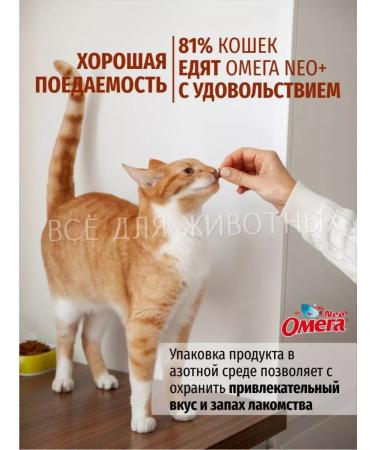 Omega Neo Vitamins for kittens treat for immunity of wool and teeth - Buy Online on GoSupps.com