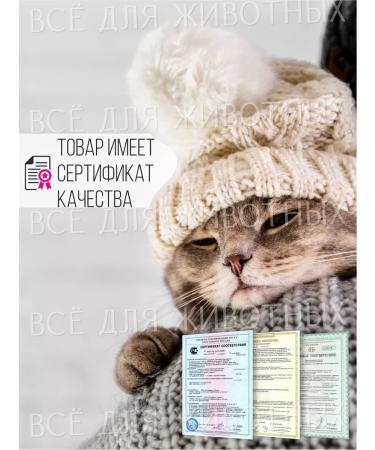 Omega Neo Vitamins for kittens treat for immunity of wool and teeth - Buy Online on GoSupps.com