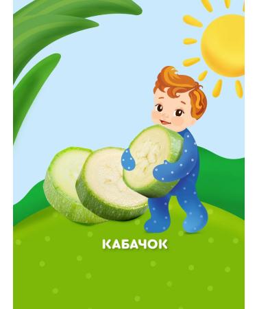 AGUSHA Puree baby vegetable zucchini 80g from 4 months 8 pcs - Buy Online on GoSupps.com