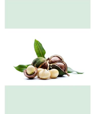 DESTEK Macadamia nut oil 20 ml - Buy Online on GoSupps.com