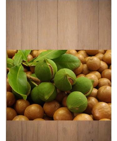 DESTEK Macadamia nut oil 20 ml - Buy Online on GoSupps.com