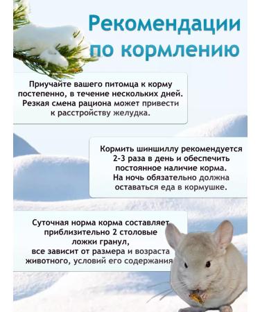 Zoomir Madame Shinchi feed for chinchilla 2.5 kg - Buy Online on GoSupps.com
