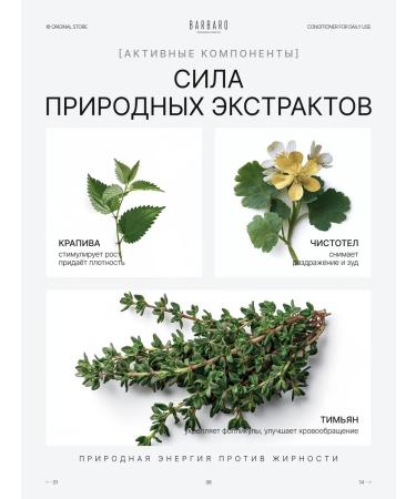 BARBARO Men's hair conditioner professional 220 ml - Buy Online on GoSupps.com