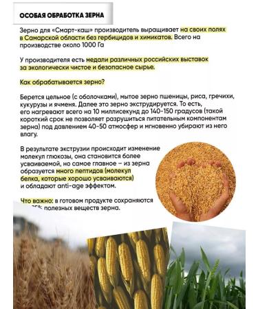 Spring of Health Smart porridge macrobiotic quick preparation - Buy Online on GoSupps.com