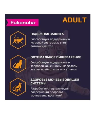 Eukanuba Dry food for cats poultry 2 kg 2 pcs - Buy Online on GoSupps.com