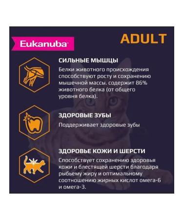 Eukanuba Dry food for cats poultry 2 kg 2 pcs - Buy Online on GoSupps.com