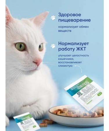 Sub-Pro Forte Probiotic for cats and dogs fodder additive vitamins 10g - Buy Online on GoSupps.com