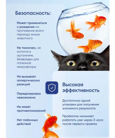 Sub-Pro Forte Probiotic for cats and dogs fodder additive vitamins 20g - Buy Online on GoSupps.com