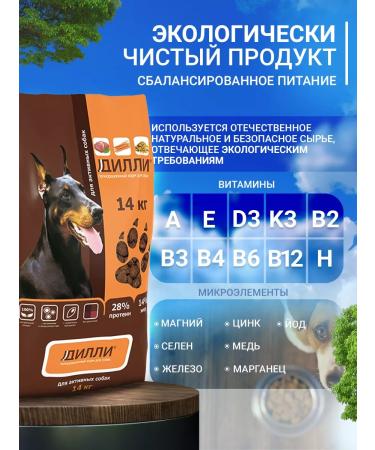 DILLY For active food for dogs dry 14 kg - Buy Online on GoSupps.com