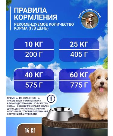 DILLY For active food for dogs dry 14 kg - Buy Online on GoSupps.com