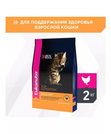 Eukanuba Dry food for cats poultry 2 kg 6 pcs - Buy Online on GoSupps.com