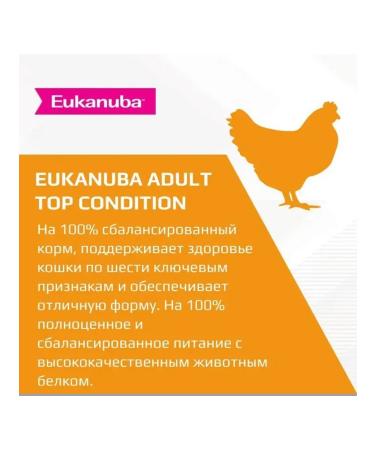 Eukanuba Dry food for cats poultry 2 kg 6 pcs - Buy Online on GoSupps.com