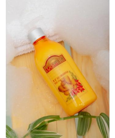 OLD GINGER KING Ginger shampoo for hair growth - Buy Online on GoSupps.com