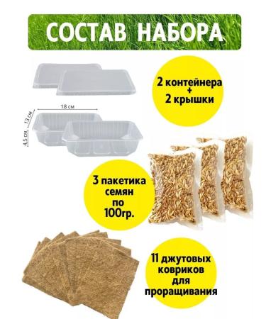 GreenFood Grass for cats. Set for growing for 10 landings - Buy Online on GoSupps.com