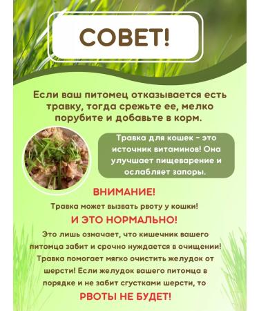 GreenFood Grass for cats. Set for growing for 10 landings - Buy Online on GoSupps.com