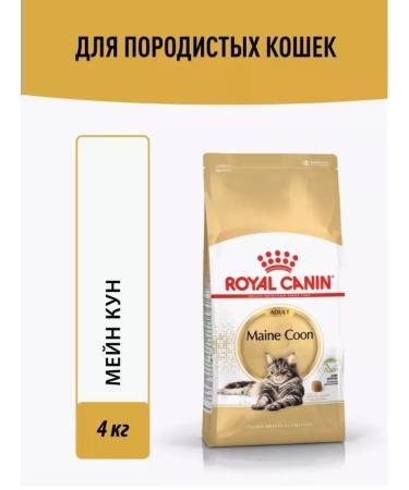 ROYAL CANIN Feed for cats by Main Coon Adult) 4 kg