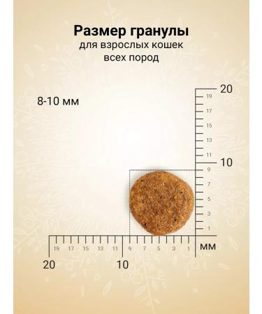 CRAFTIA Dry food for sterilized cats from duck and turkey 320 g - Buy Online on GoSupps.com