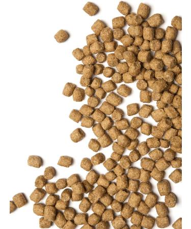 ProBalance Dry food for cats for immunity Immuno 1.8kg - Buy Online on GoSupps.com