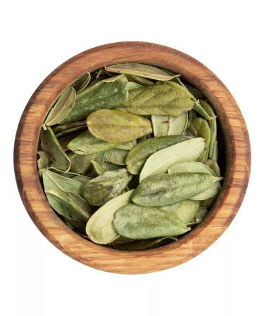 FitoContinent Lingonberry leaves 100 g - Buy Online on GoSupps.com