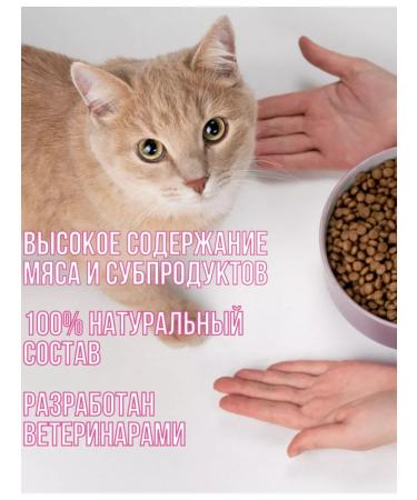 KissMeow Dry food for cats juicy turkey with vegetables and rice 650 g - Buy Online on GoSupps.com