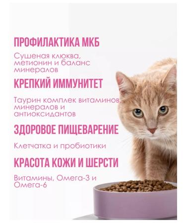 KissMeow Dry food for cats juicy turkey with vegetables rice 1.3 kg - Buy Online on GoSupps.com
