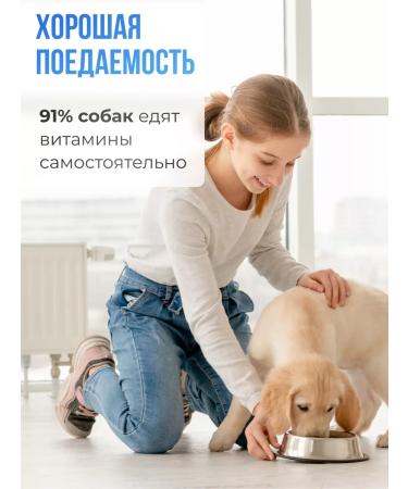 LAYTI Vitamins for dogs for skin and wool - Buy Online on GoSupps.com