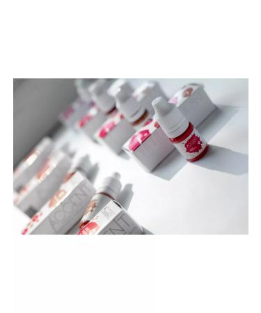 Accent Pigment No. 14 Terracotta for the lips 10 ml - Buy Online on GoSupps.com