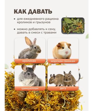 Bunny Hole Dry food - treats calendula flowers 100 g - Buy Online on GoSupps.com