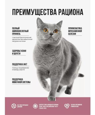 BOWL WOW Dry food for sterilized cats turkey and beets 4 kg - Buy Online on GoSupps.com