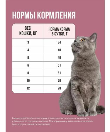 BOWL WOW Dry food for sterilized cats turkey and beets 400 g - Buy Online on GoSupps.com